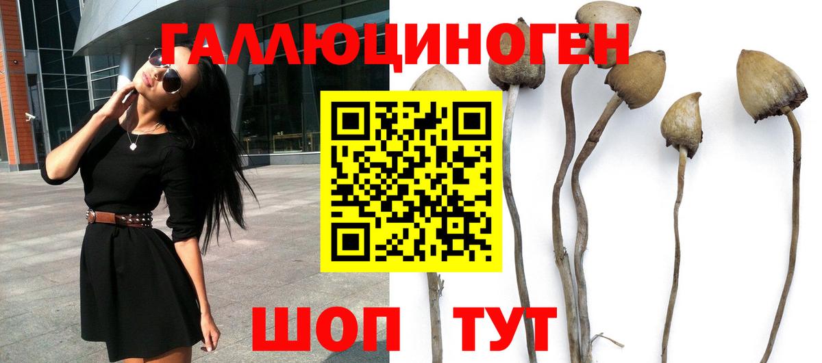 Галлюциногенные грибы MAGIC MUSHROOMS Тихорецк